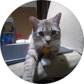 Angie S. Avatar